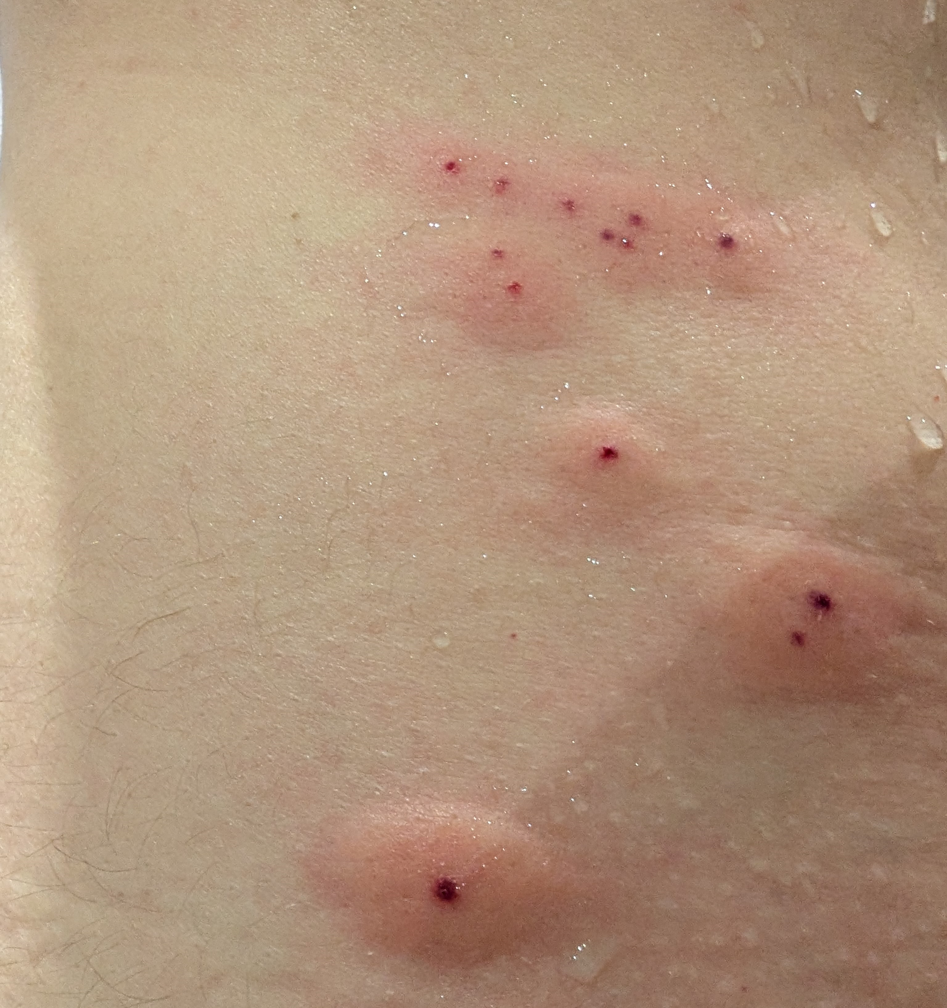 Corbigoe Hotel Pimlico London Belgrave Rd